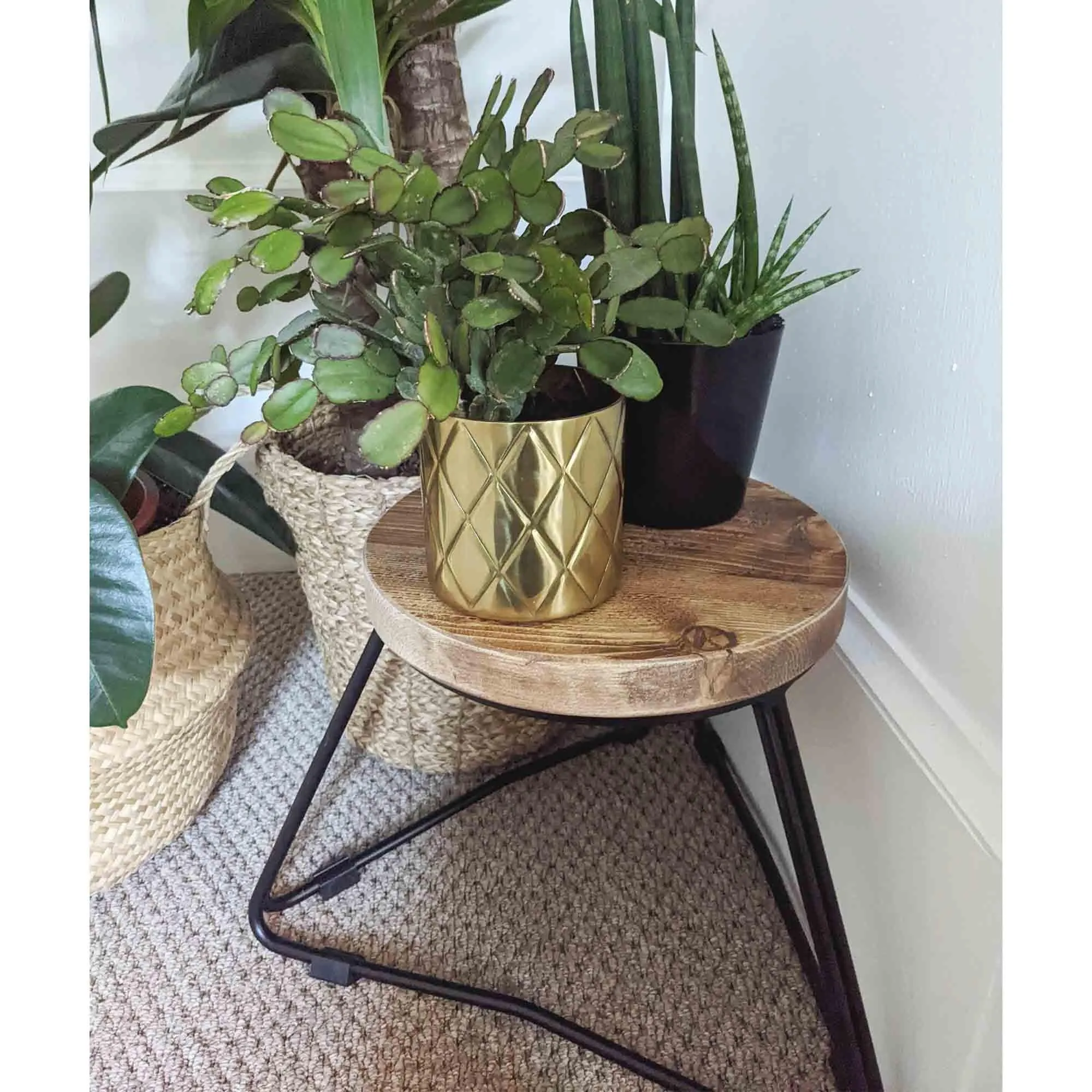 TIBBLE: Plant Stands